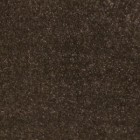 Monte Carlo Clay (95)