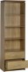 Charles 2 Drawer Bookcase in Oak Effect Veneer with Walnut Trim