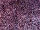 Santa Cruz Summertime Purple